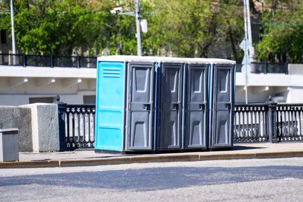 Best Affordable portable toilet rental  in Centrevle, IL